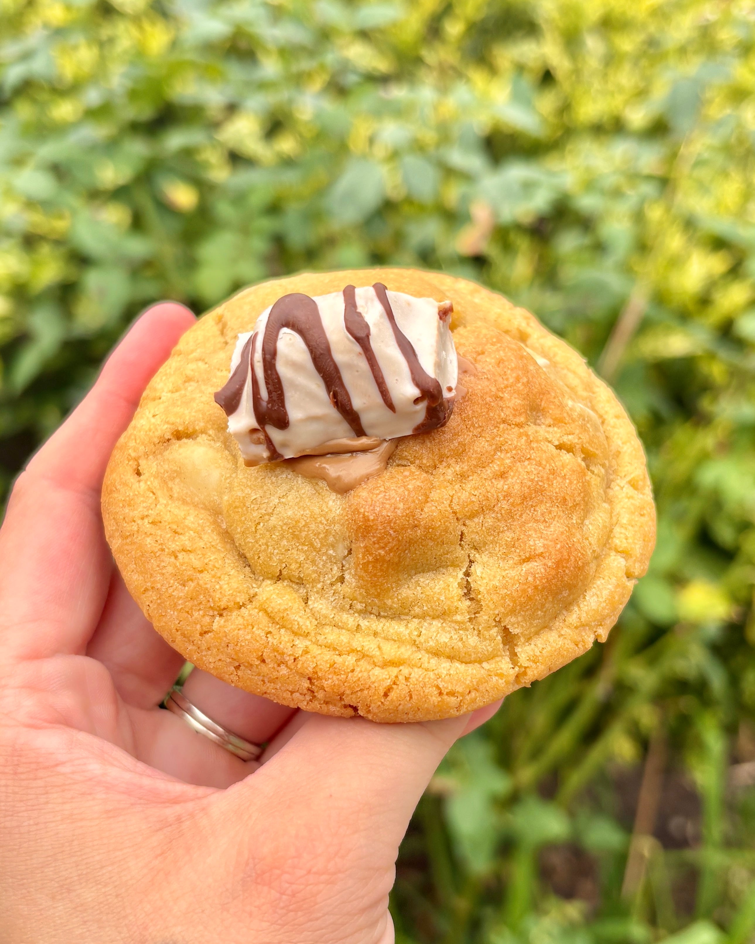 White Hazelnut Cookie